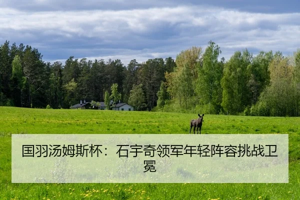 guo-yu-tang-mu-si-bei-shi-yu-qi-ling-jun-nian-qing-zhen-rong-tiao-zhan-wei-mian-2-972.jpg
