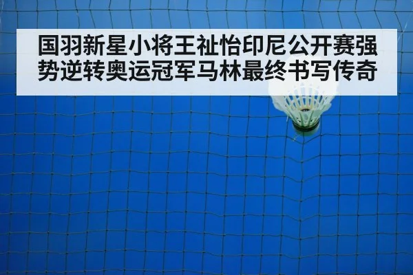 badminton net shot