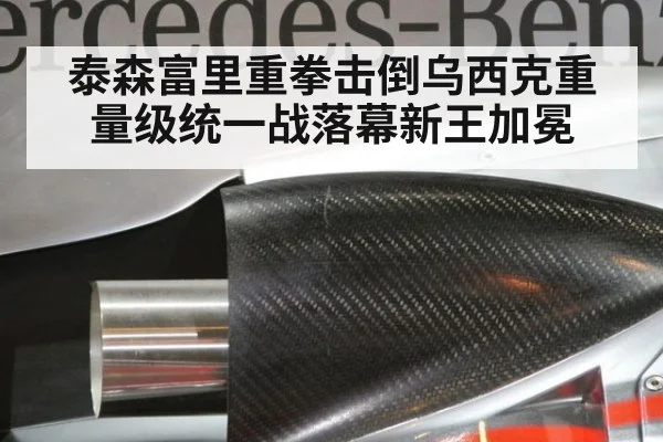 泰森富里重拳击倒乌西克重量级统一战落幕新王加冕