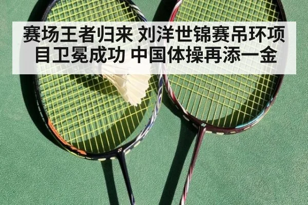 赛场王者归来 刘洋世锦赛吊环项目卫冕成功 中国体操再添一金